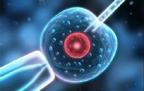 輸卵管堵塞有積水能做試管嗎？最佳治療方式還是試管嬰兒