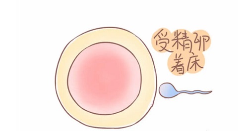 2021武漢試管嬰兒哪個(gè)醫(yī)院成功率最高？參考下