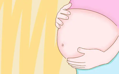 試管嬰兒的手術價格貴不貴