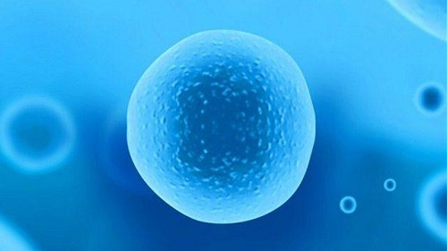 試管嬰兒比正常孩子智商低嗎？做好這四件事有利寶寶更聰明！