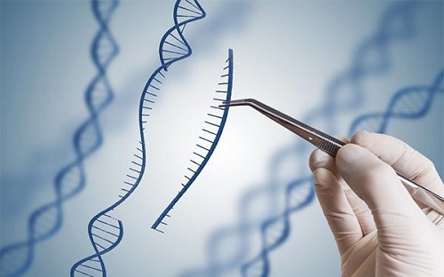 試管嬰兒是老公的精子嗎？移植后會發生宮外孕嗎？