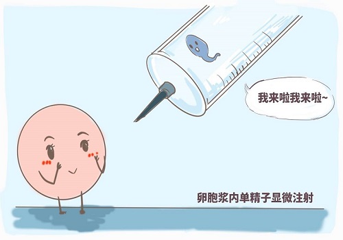 赴泰試管嬰兒對可移植的健康囊胚數量有要求嗎？