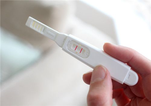 試管嬰兒攻略對你幫助很大？
