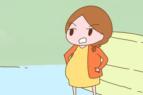 試管移植成功的表現都有哪些？具體有哪些感覺？