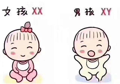 做泰國(guó)試管嬰兒生or價(jià)格一樣嗎